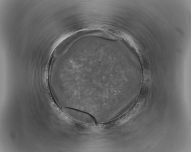 X0000112930952200909141331