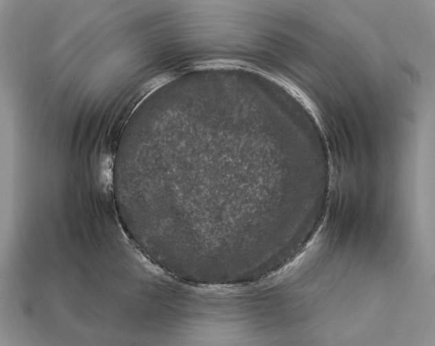 X0000112930953200909141331