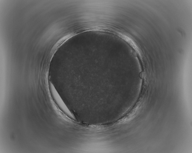 X0000112930954200909141331