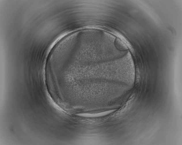 X0000112930955200909141331