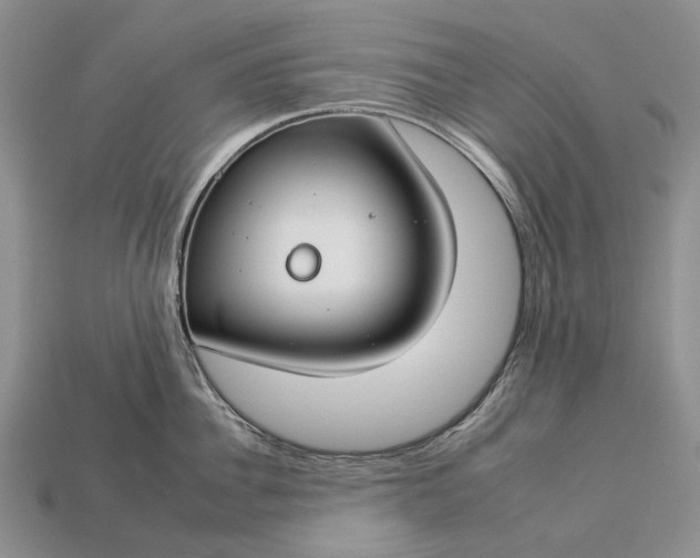 X0000112930956200909141331