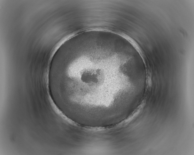 X0000112930957200909141331