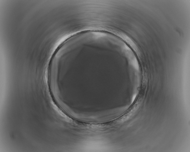 X0000112930958200909141331