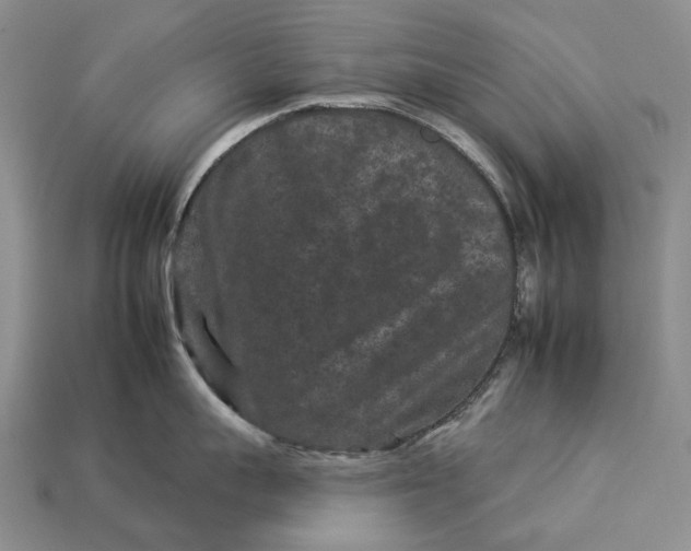 X0000112930959200909141331