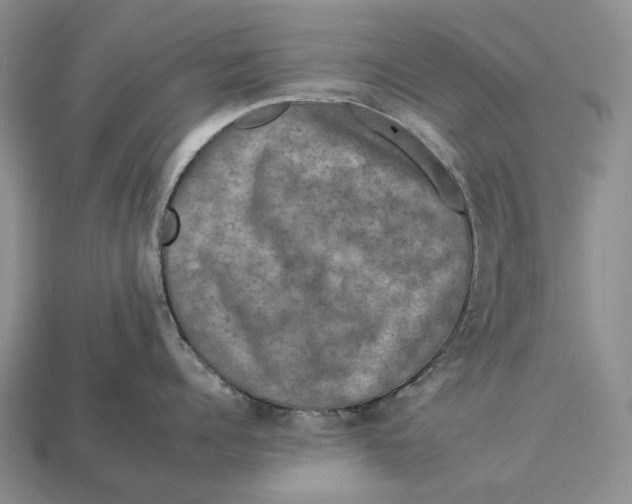 X0000112930960200909141331