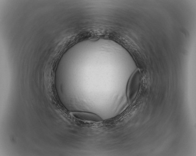 X0000112930961200909141330