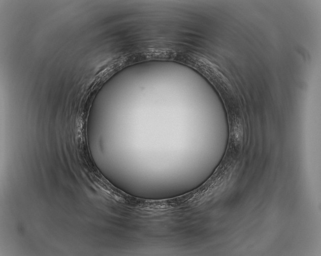 X0000112930964200909141330