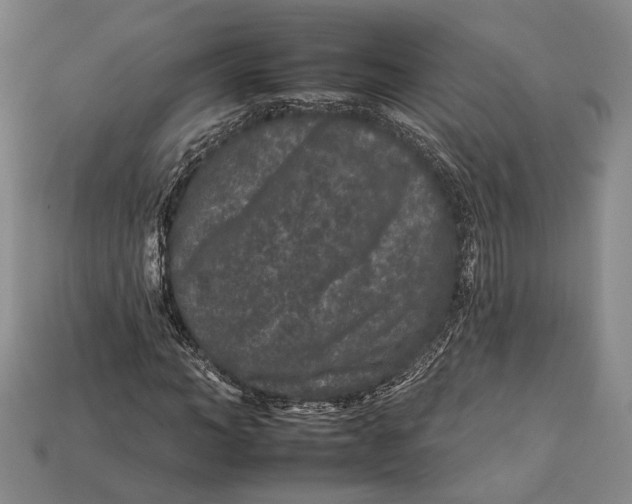 X0000112930966200909141330