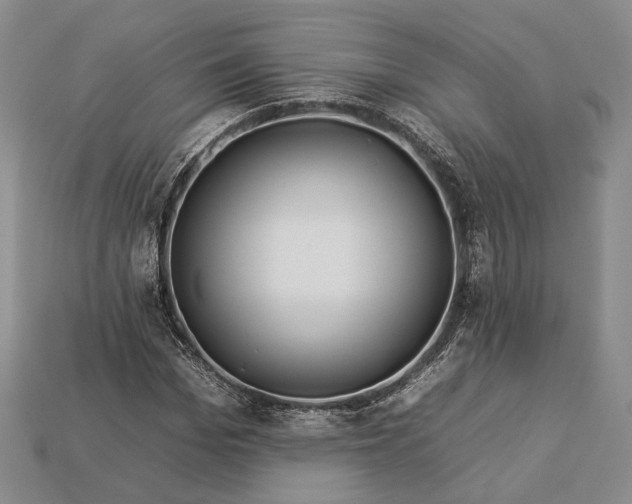 X0000112930969200909141330