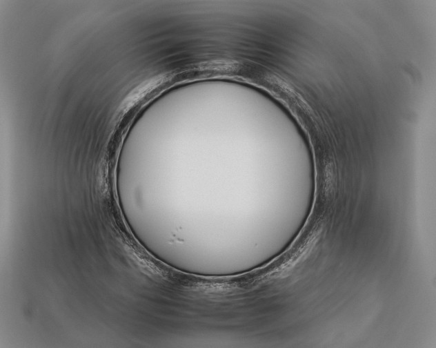 X0000112930970200909141330