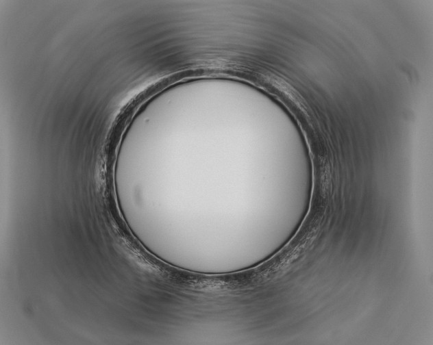 X0000112930971200909141330