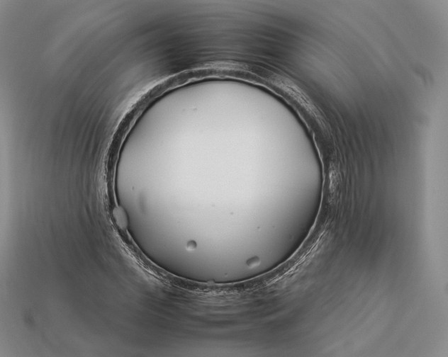 X0000112930972200909141330