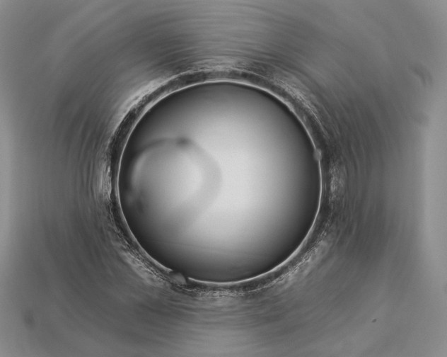 X0000112930973200909141330