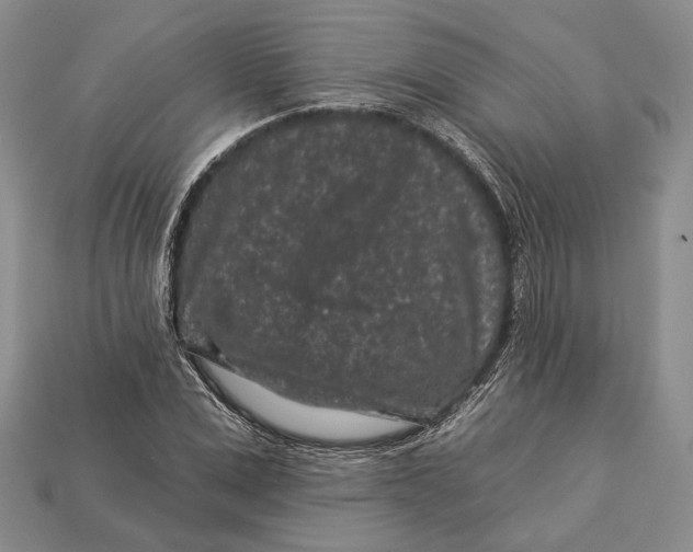 X0000112930975200909141330