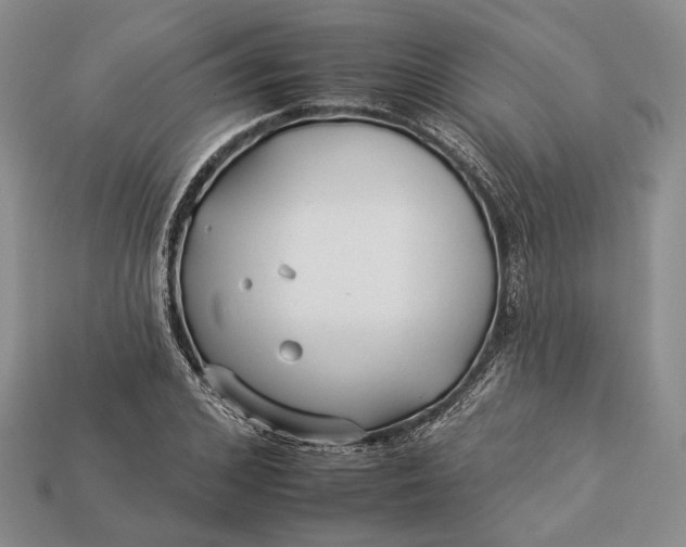 X0000112930976200909141330