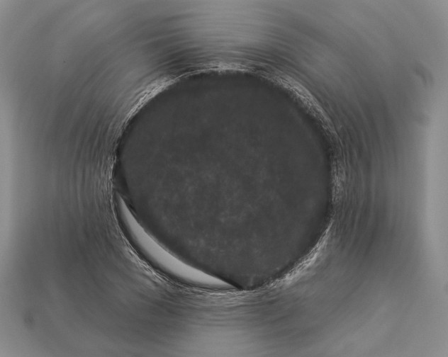 X0000112930977200909141330