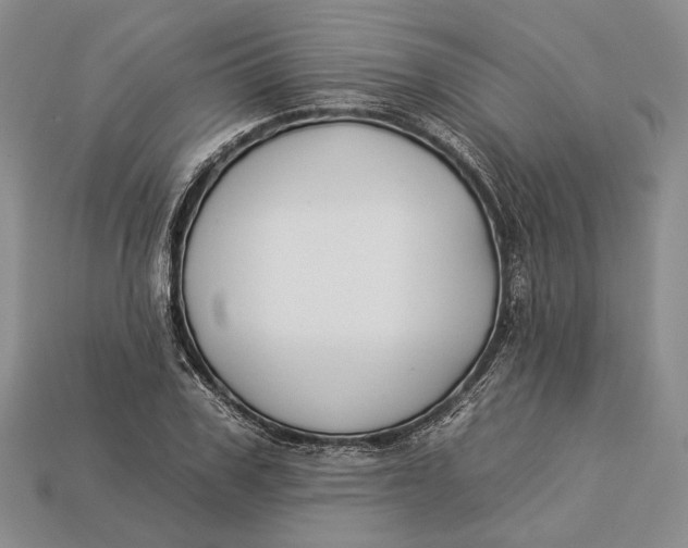 X0000112930979200909141330