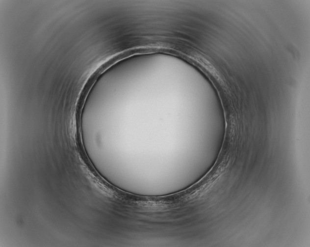 X0000112930980200909141330