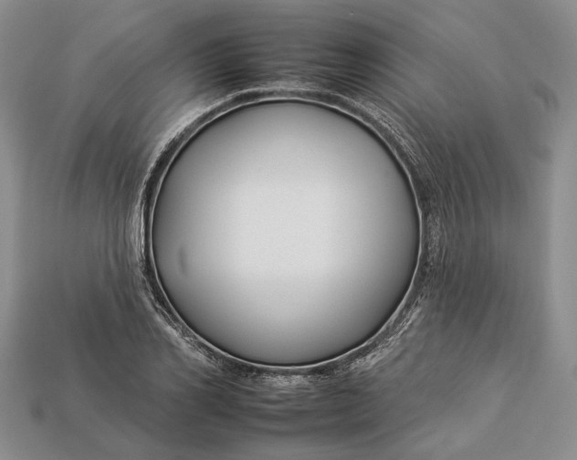 X0000112930982200909141330