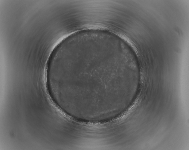 X0000112930983200909141330