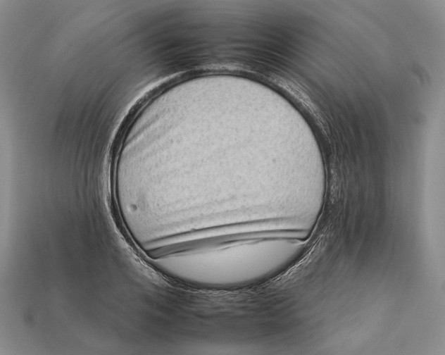 X0000112930984200909141330