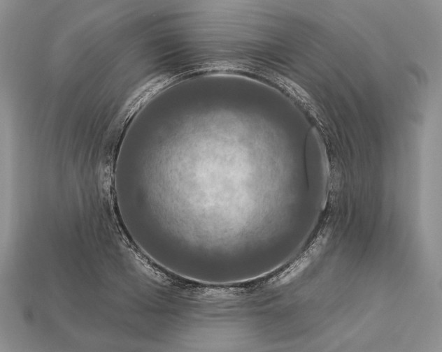 X0000112930985200909141330