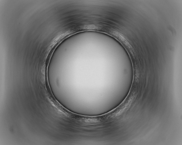 X0000112930986200909141330