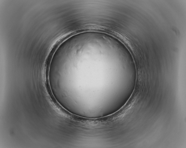 X0000112930987200909141330