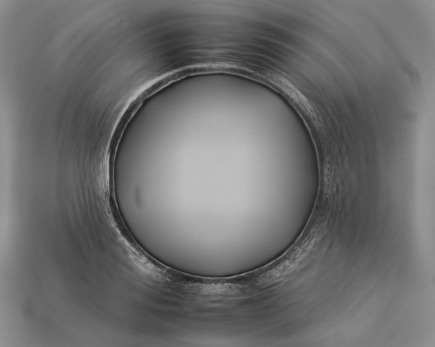 X0000112930988200909141330