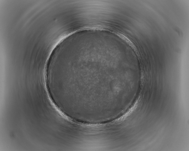 X0000112930989200909141330