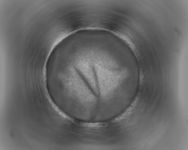 X0000112930990200909141330