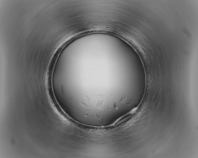 X0000112930991200909141330