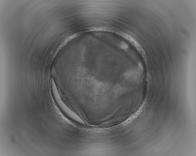 X0000112930993200909141330