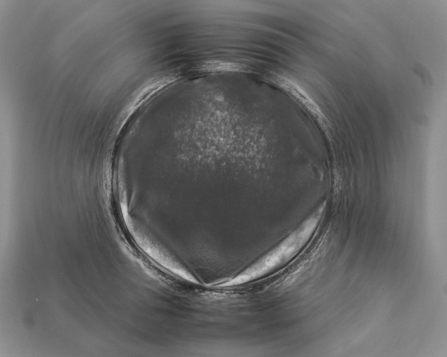 X0000112930994200909141330