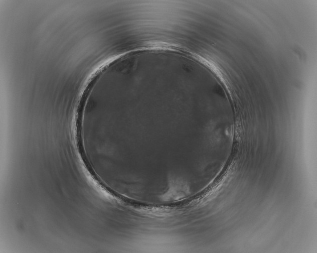 X0000112930995200909141330