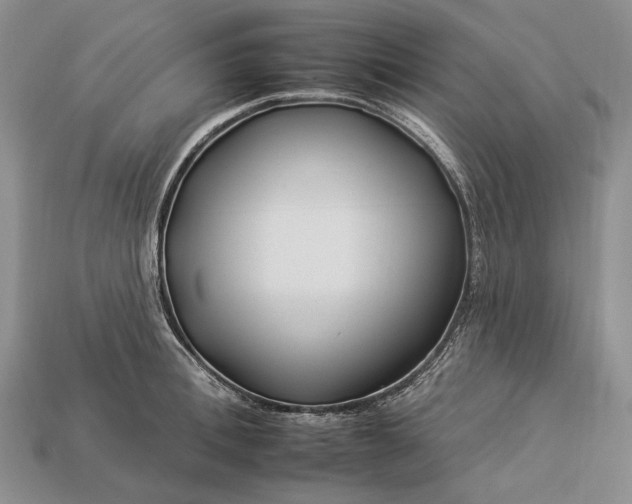 X0000112930996200909141330