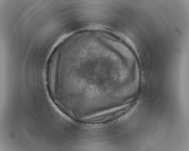 X0000112930997200909141330