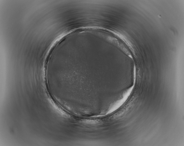 X0000112930998200909141330