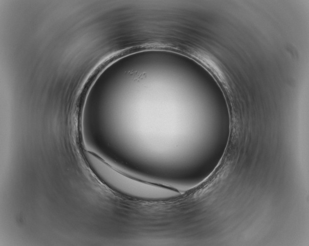 X0000112931000200909141330