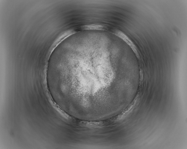 X0000112931002200909141330