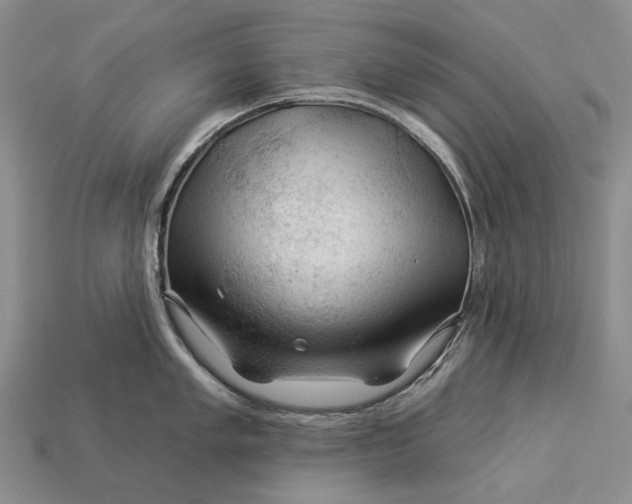 X0000112931005200909141330