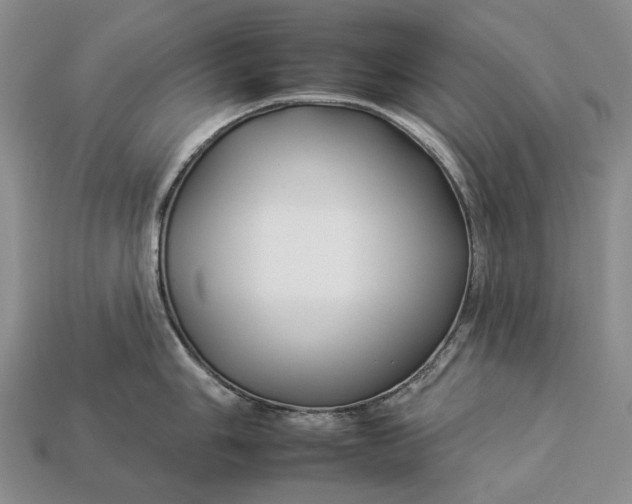 X0000112931006200909141330