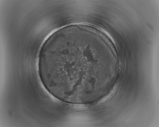 X0000112931007200909141330