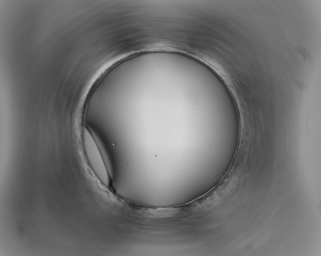 X0000112931008200909141330