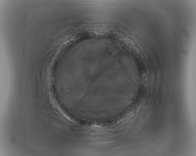 X0000112931009200909141329