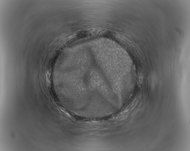 X0000112931010200909141329