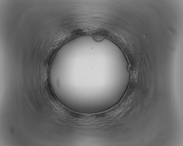 X0000112931012200909141329