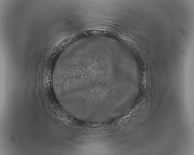 X0000112931014200909141329