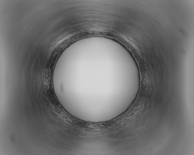 X0000112931015200909141329