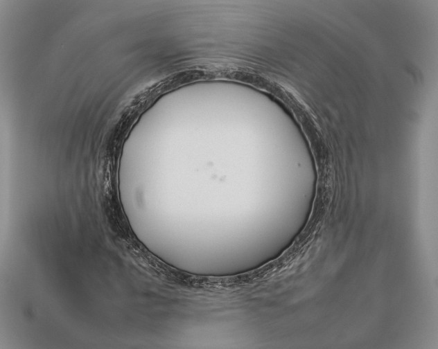 X0000112931016200909141329